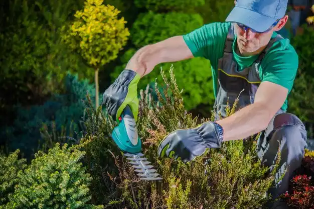 landscaping services Olmsted Falls
